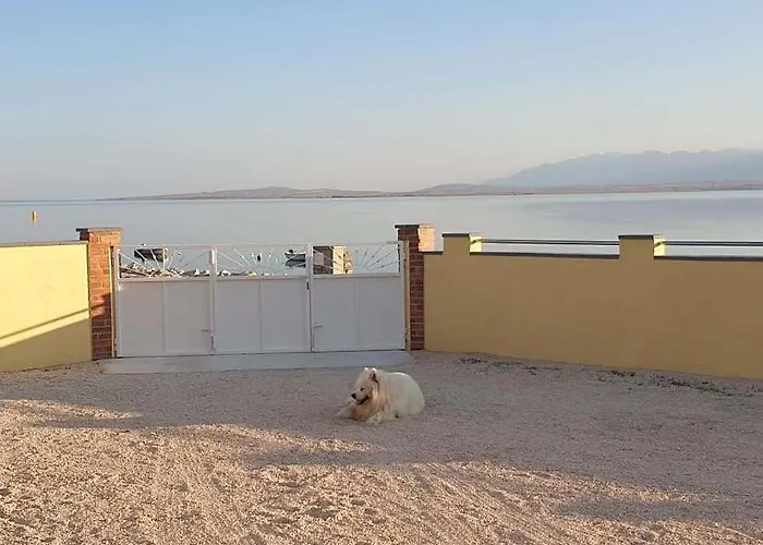 By The Sea Nin, Zadar - 15513 * נין